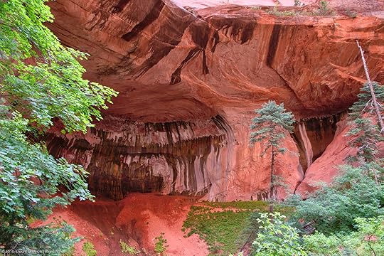 Zion National Park - Double Arch Alcove