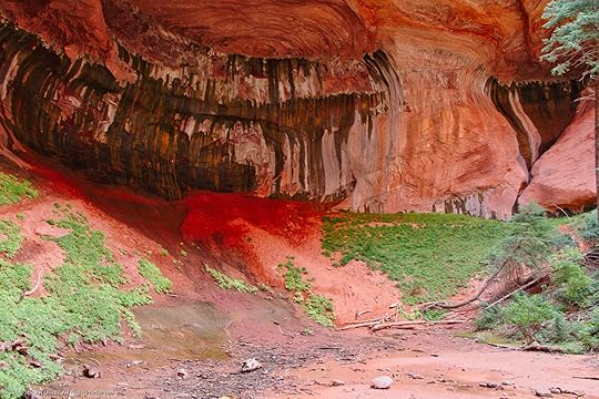 Zion National Park - Double Arch Alcove Lower Grotto