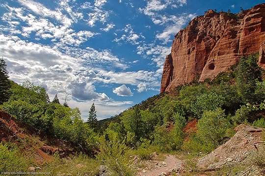 Zion National Park - Taylor Creek Trail