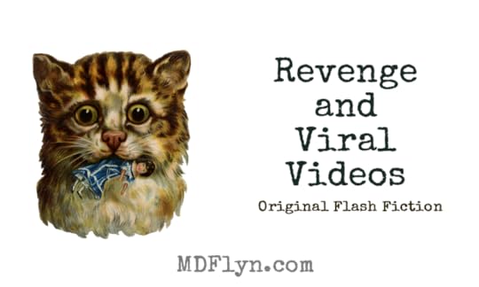 Revenge and Viral Videos, original flash fiction by M D Flyn