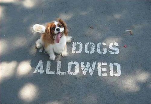 sign 6.jpg