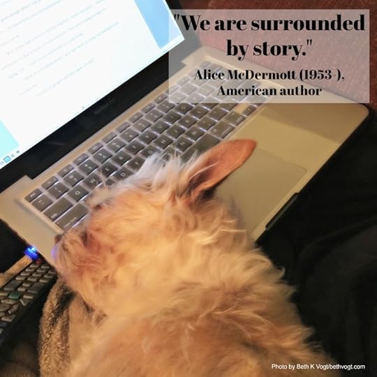 Surrounded by story 2017