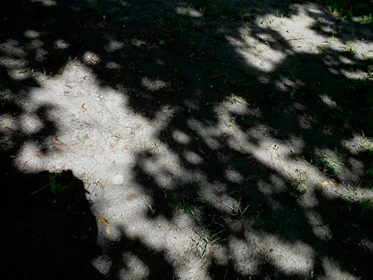 half-moon suns