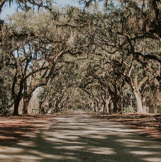 Photo by Jessica Furtney on Unsplash