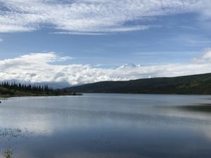IMG_9812