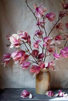 Image result for pinterest paper fury