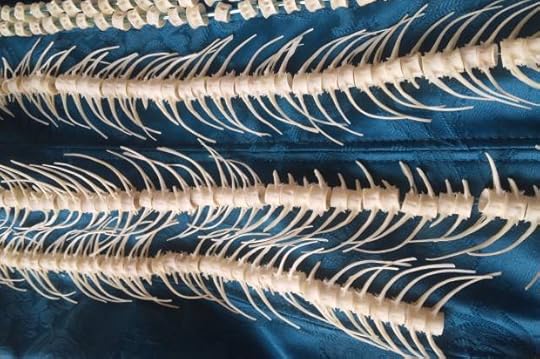 Upcycled salmon bones as wearable art