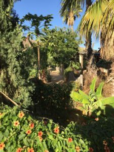 Author Garry Ryan's photo of San Jose