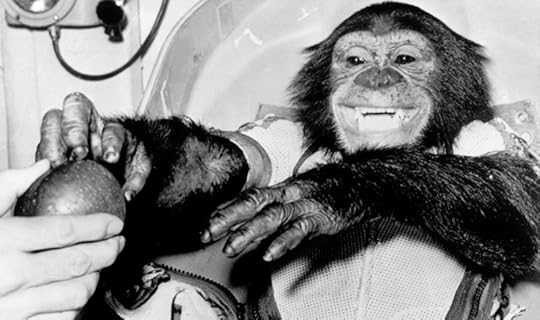ham the space chimp