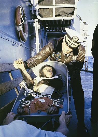 ham the space chimp