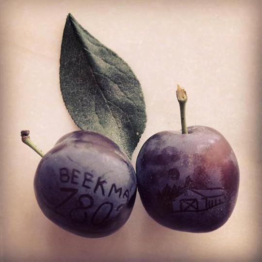 B. SOCIAL | BEST OF THE WEEK