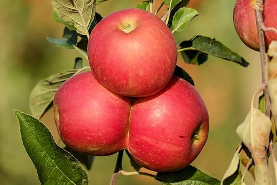 apple-1666113_1920.jpg