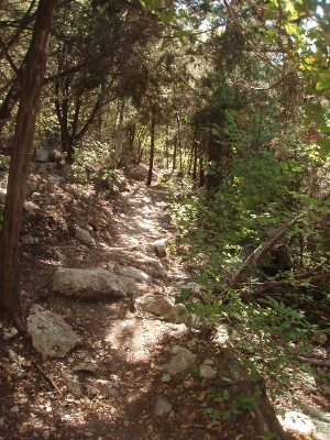 Image result for steiner ranch hiking trails