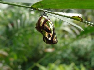 Self Publishing a Book, photo by Rudy Tiben