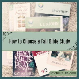 Bible Study, how to choose a Bible study, what Bible book should we study in the fall? God's will, teaching Scripture, Bible study choices.