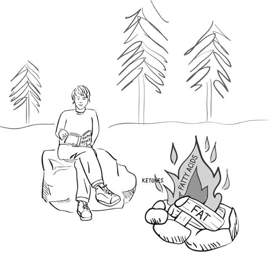 camfire-illo-2