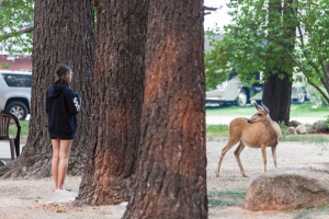 Bridgeport Camping 2017 - 036