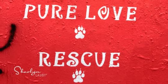 HR, Harvey, Hurricane Harvey, Rescue, donation, donate, help