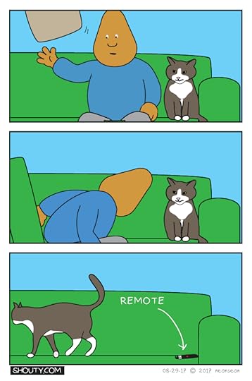 Cat and the remote