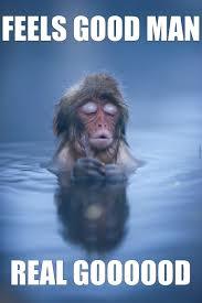 Image result for relaxed meme