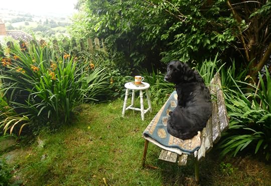 Tilly in the studio garden
