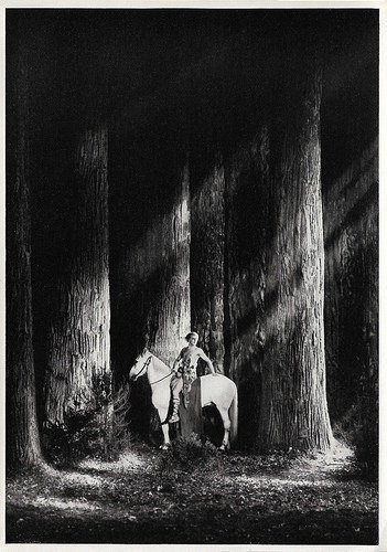 Paul Richter in Die Nibelungen: Siegfried (1924)