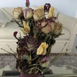 Dried, Yellow Roses, Photo by Stephen W. Hiemstra