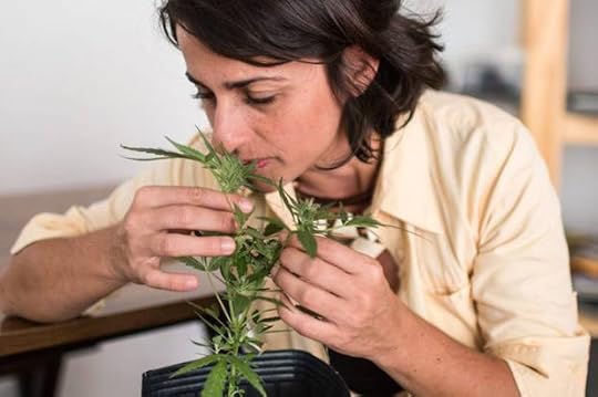 MedicalMarijuana_HEADER_2580-1600x646