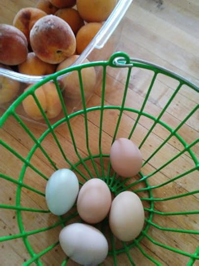 basket of eggs