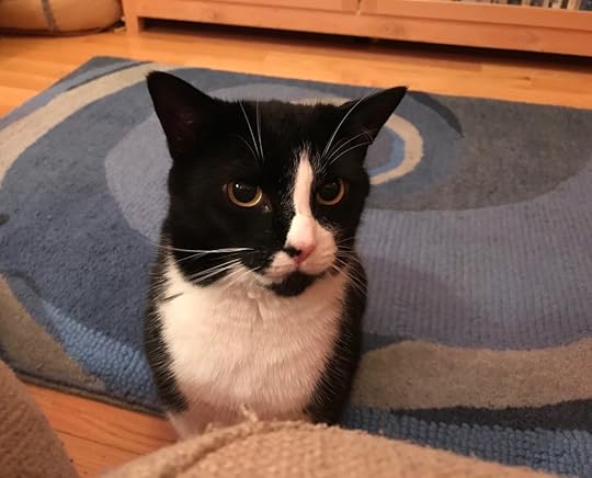 Mama is editing again? When's playtime?