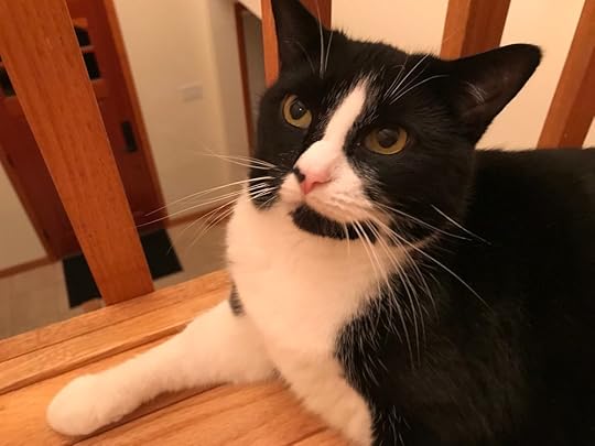 You want my suggestion? Stay home and take a nap!