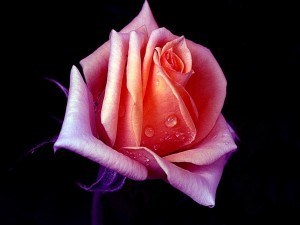 Related image
