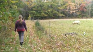 autumnwalk