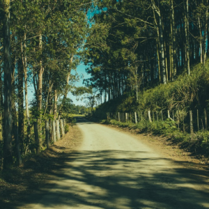 Dusty Little Lanes