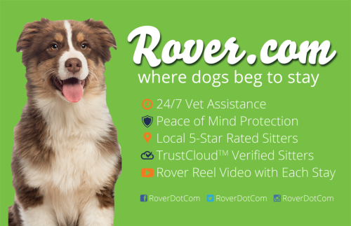 Rover-value-props