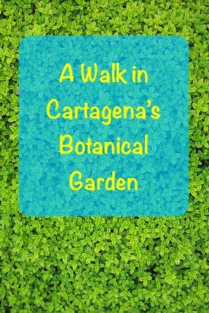 0 A Walk in Jardín Botánico Guillermo Piñeres, Cartagena, Bolivar, Colombia, Pinterest
