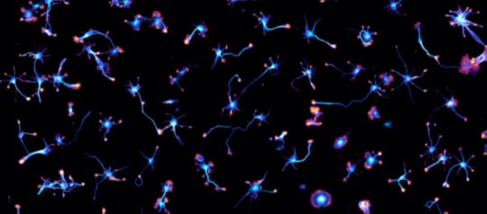 Leterrier_Christophe_NICN_01-e1500237273553