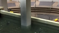 170829102743-03-lakewood-church-flooding-exlarge-169