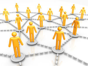 organizational design