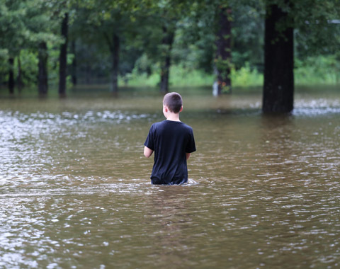 Photo: Nature offers solutions to water woes and flood risks