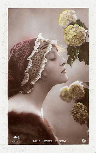 Isobel Elsom