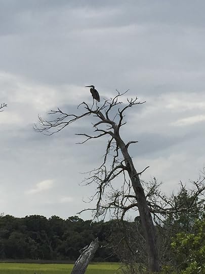 IMG_6803.JPG