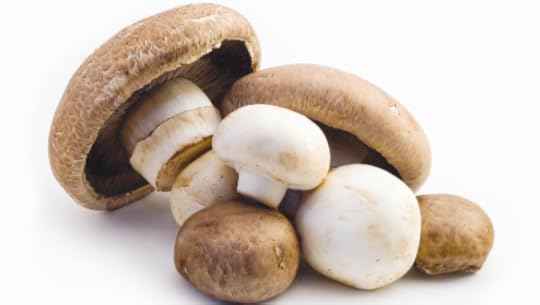 Praxis Blog_Mushroom.png