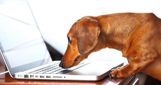 best blogs product managers