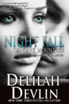 Night Fall On Dark Mountain