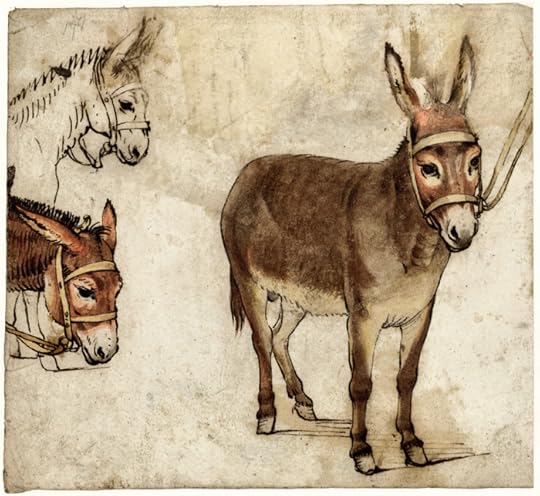 Sketches of donkeys. Gerard ter Borch c1612
