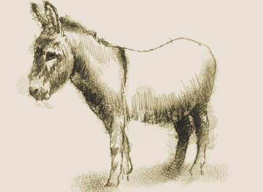 Donkey sketch by Sean Briggs