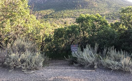 SOB Draw in the Black Canyon of the Gunnison National Park