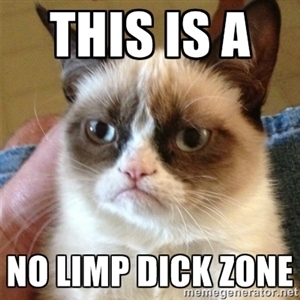 No Limp Dicks Grouchy Cat