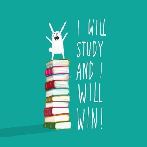 Quotes About Studying Hard